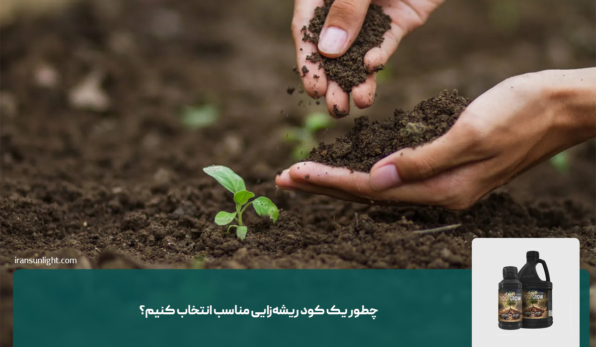 چطور یک کود ریشهزایی مناسب انتخاب کنیم؟
