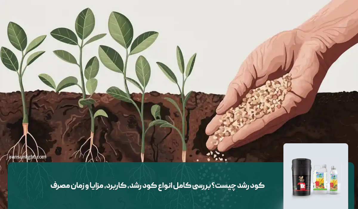 کود رشد چیست؟ بررسی کامل انواع کود رشد، کاربرد، مزایا و زمان مصرف
