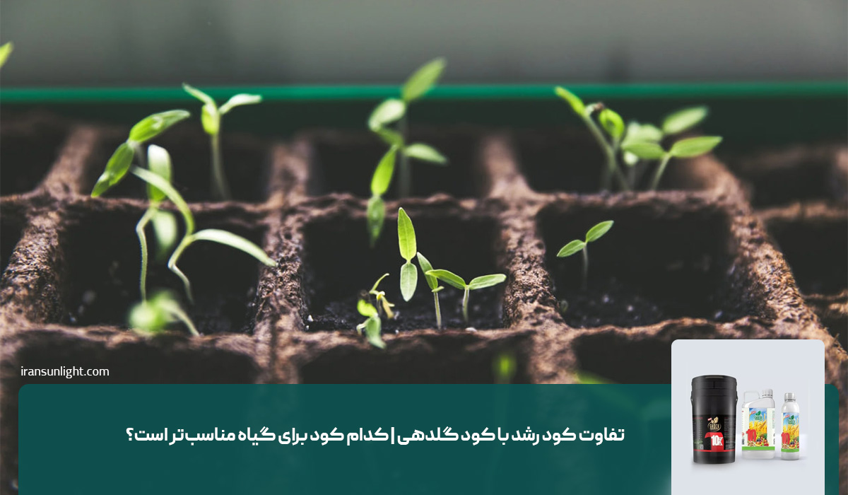 تفاوت کود رشد با کود گلدهی | کدام کود برای گیاه مناسب‌تر است؟