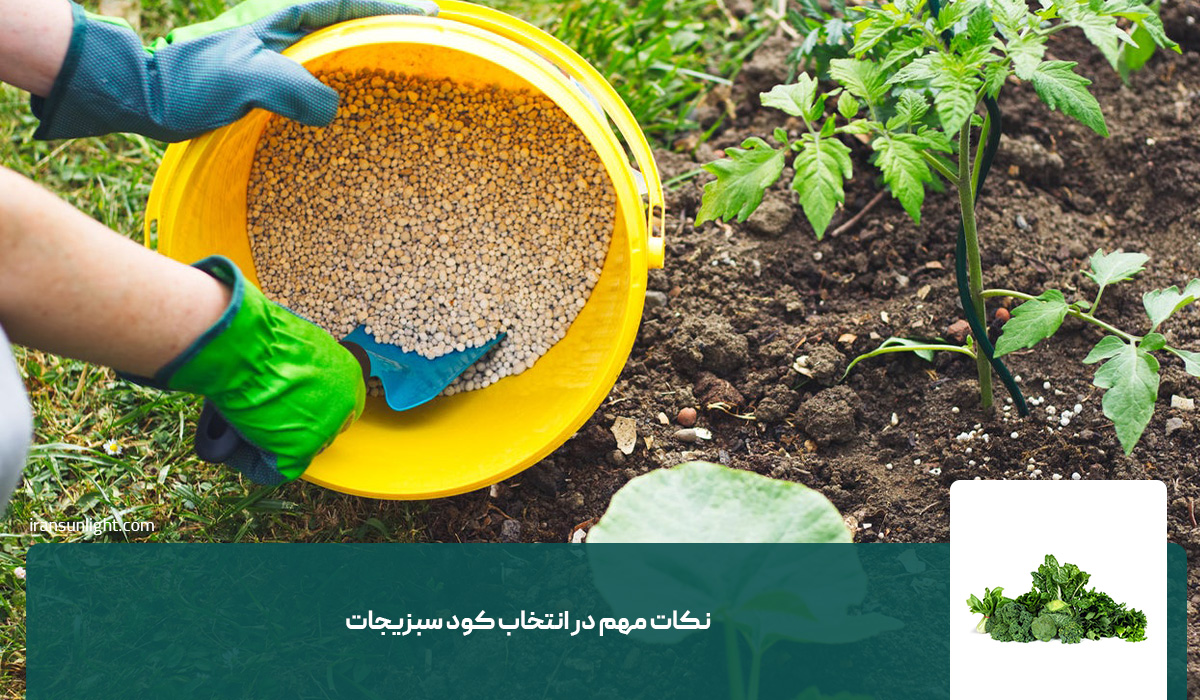 نکات مهم در انتخاب کود سبزیجات