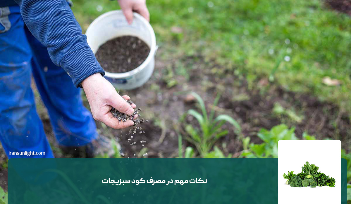 نکات مهم در مصرف کود سبزیجات