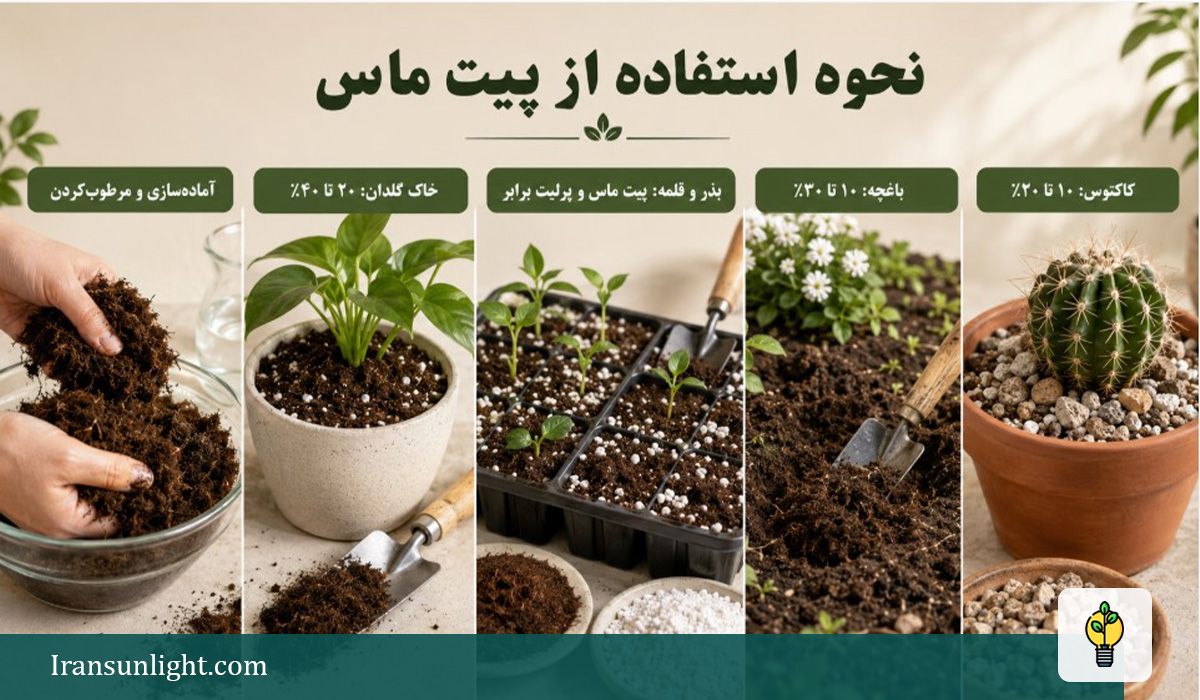 پیت ماس چیست و برای چه گیاهانی مناسب است؟ 4 نحوه استفاده از پیت ماس