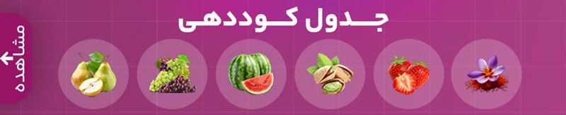 صفحه اصلی