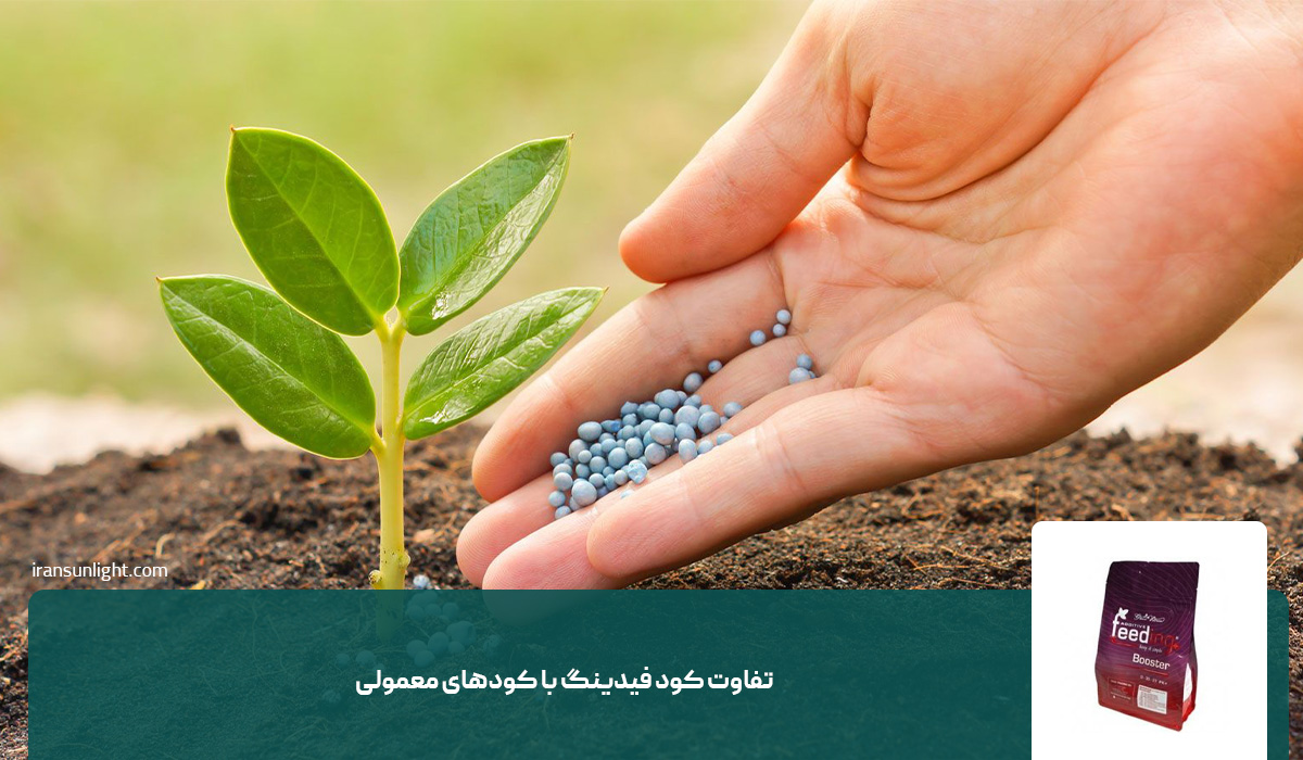 تفاوت کود فیدینگ با کودهای معمولی