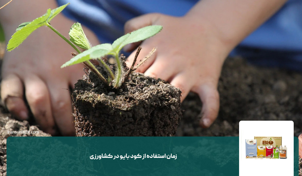 زمان استفاده از کود بایو در کشاورزی