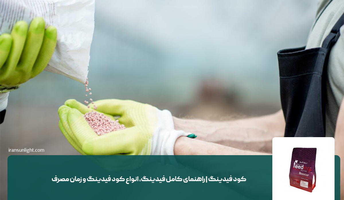 کود فیدینگ | راهنمای کامل فیدینگ، انواع کود فیدینگ و زمان مصرف