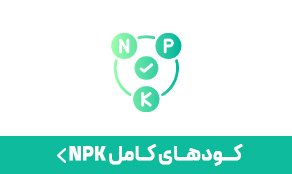 کود pnk