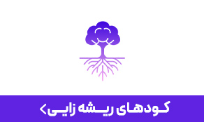 کود ریشه زایی