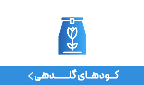 کود گلدهی