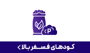 کود فسفربالا
