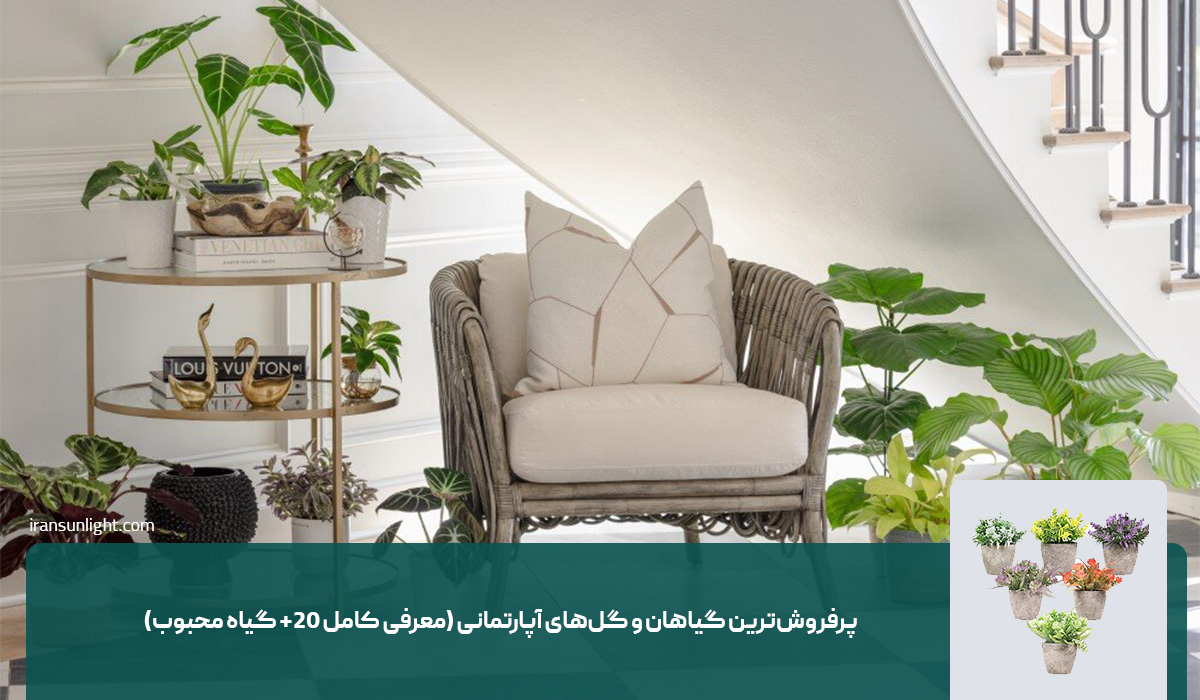 پرفروش‌ترین گیاهان و گل‌های آپارتمانی (معرفی کامل +۲۰ گیاه محبوب)