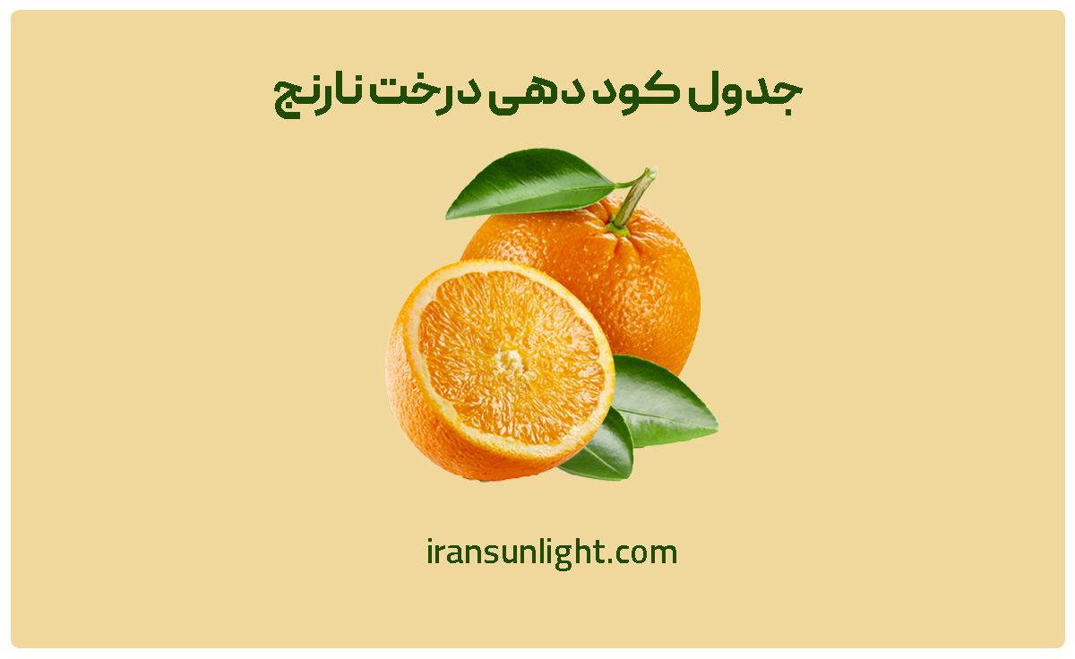 کود دهی درخت نارنج