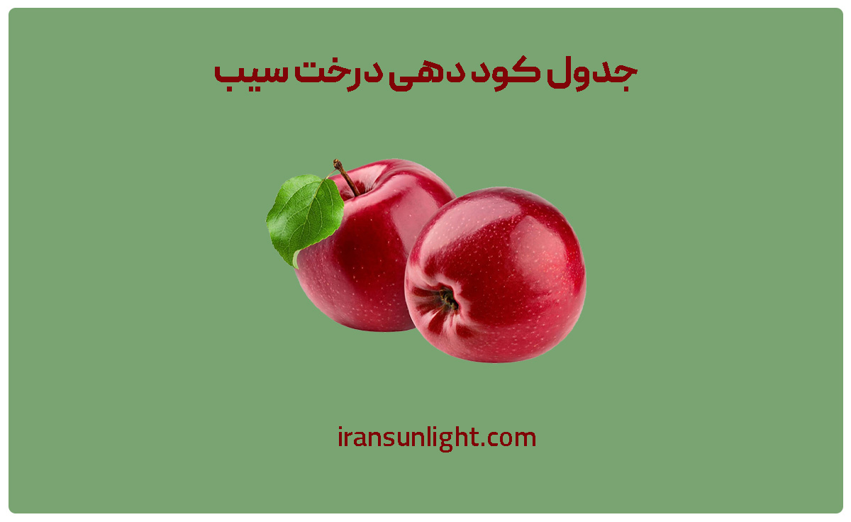 جدول کود دهی درخت سیب (جدول کود دهی گلابی در تمام دوره ها) + PDF