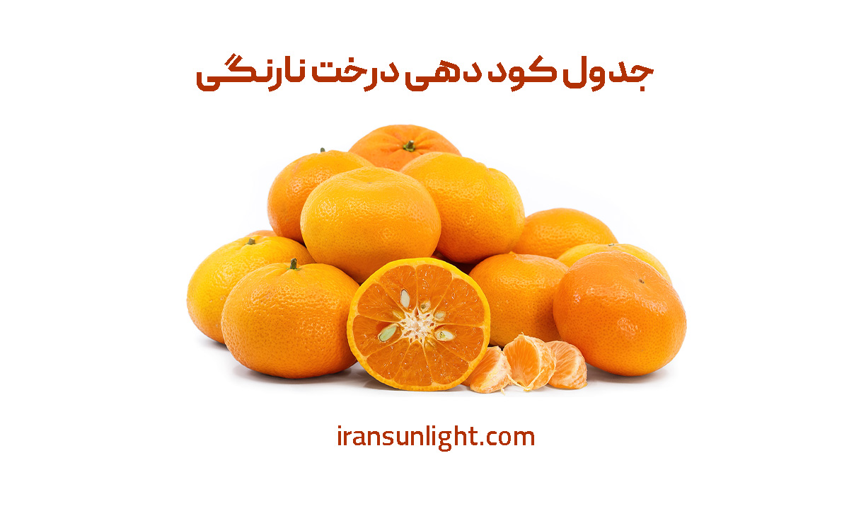 بهترین کود برای نارنگی (+جدول کود دهی) 1 کود دهی نارنگی