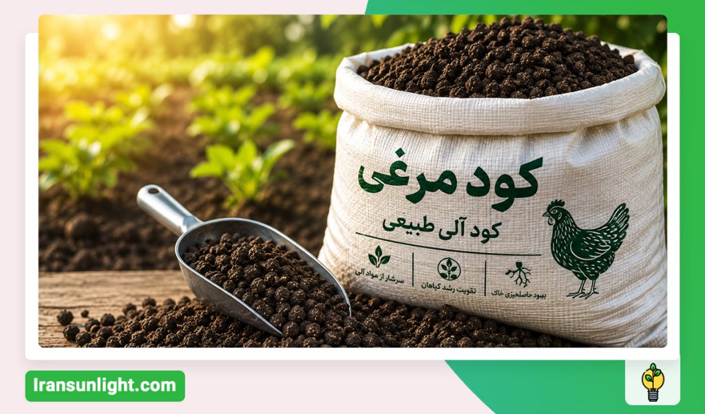 کود مرغی چیست؟ بهترین زمان مصرف، مقدار و قیمت