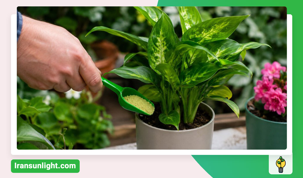 کود آهن برای چه گیاهانی مناسب است و برای کدام مضر است؟