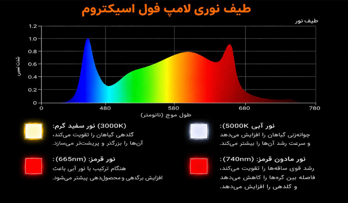 نور و لامپ مخصوص رشد گیاه چیست؟ راهنمای انتخاب نور مناسب گیاهان 9 لامپ فول اسپکتروم