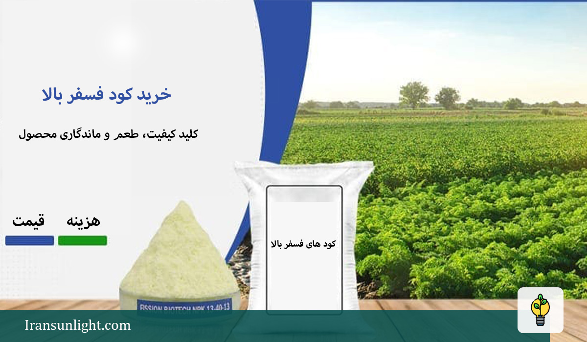 کود فسفر بالا