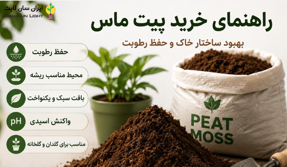 راهنمای خرید پیت ماس