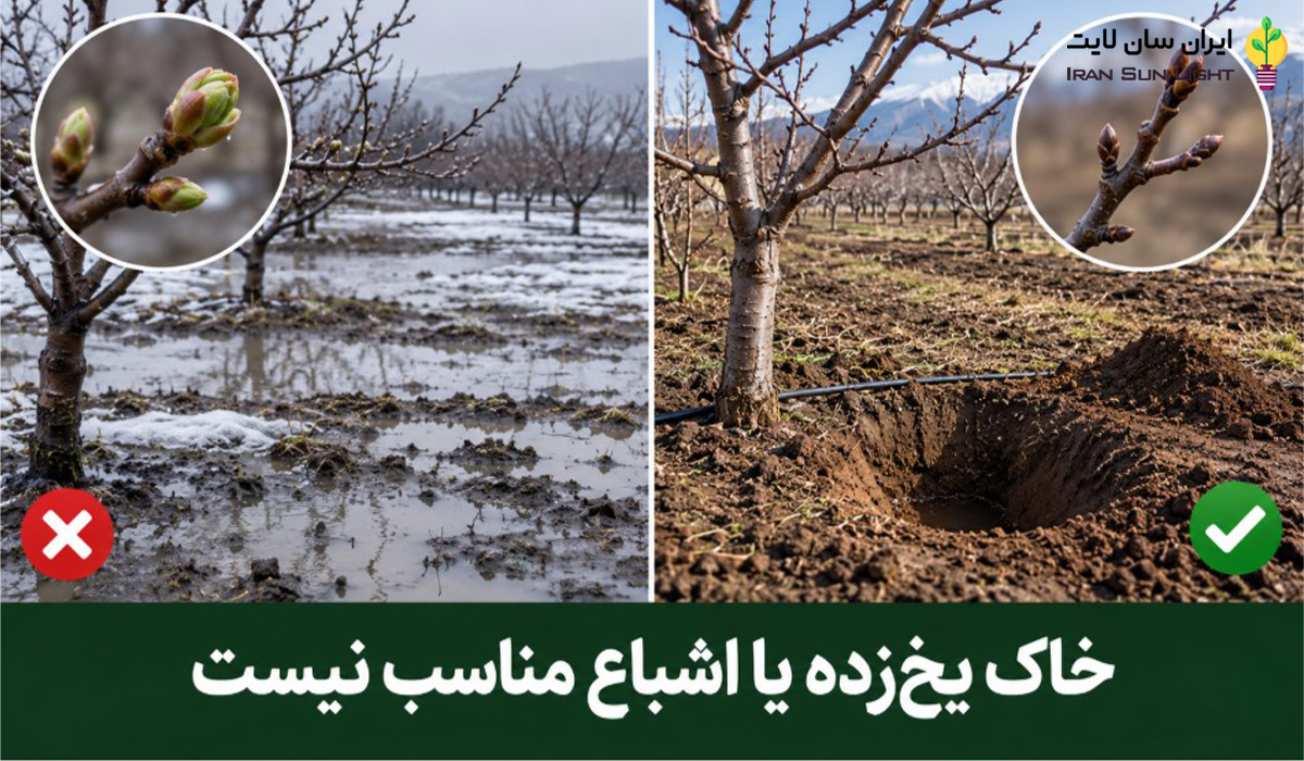 چالکود چیست؟ راهنمای کامل چالکود درختان در پاییز و زمستان 6 خاک یخ زده یا اشباع مناسب نیست