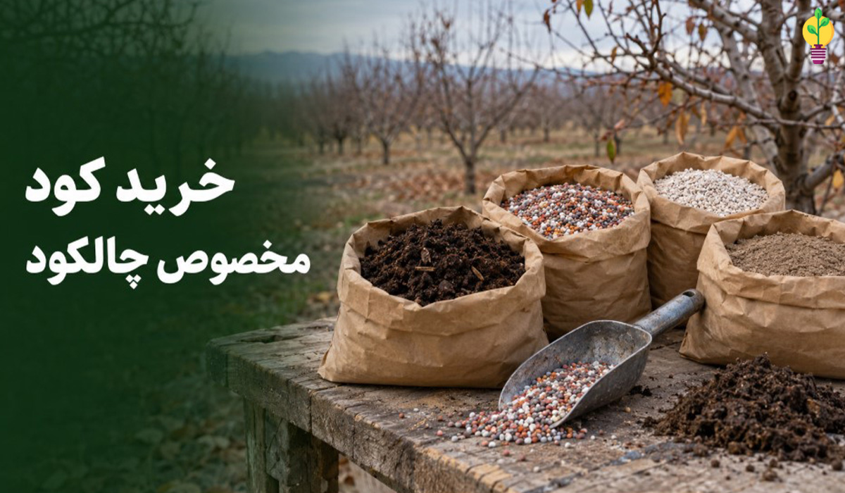انواع کود مخصوص چالکود پاییزه و زمستانه