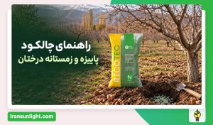چالکود چیست؟