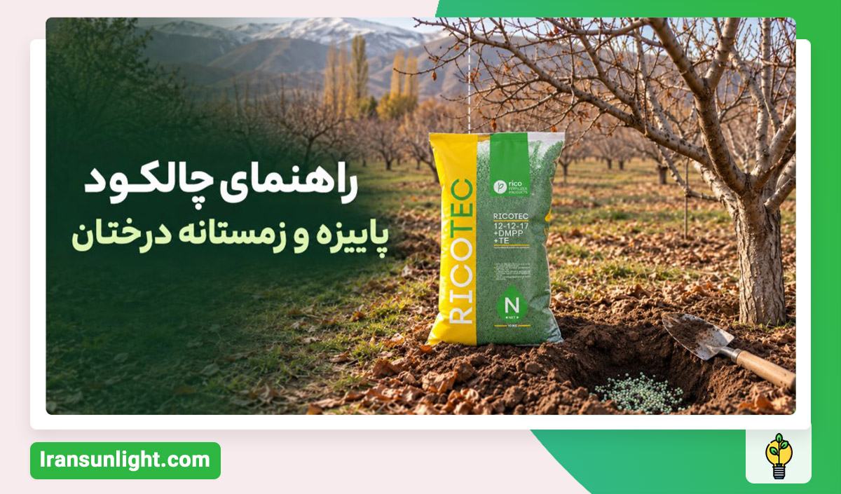 چالکود چیست؟