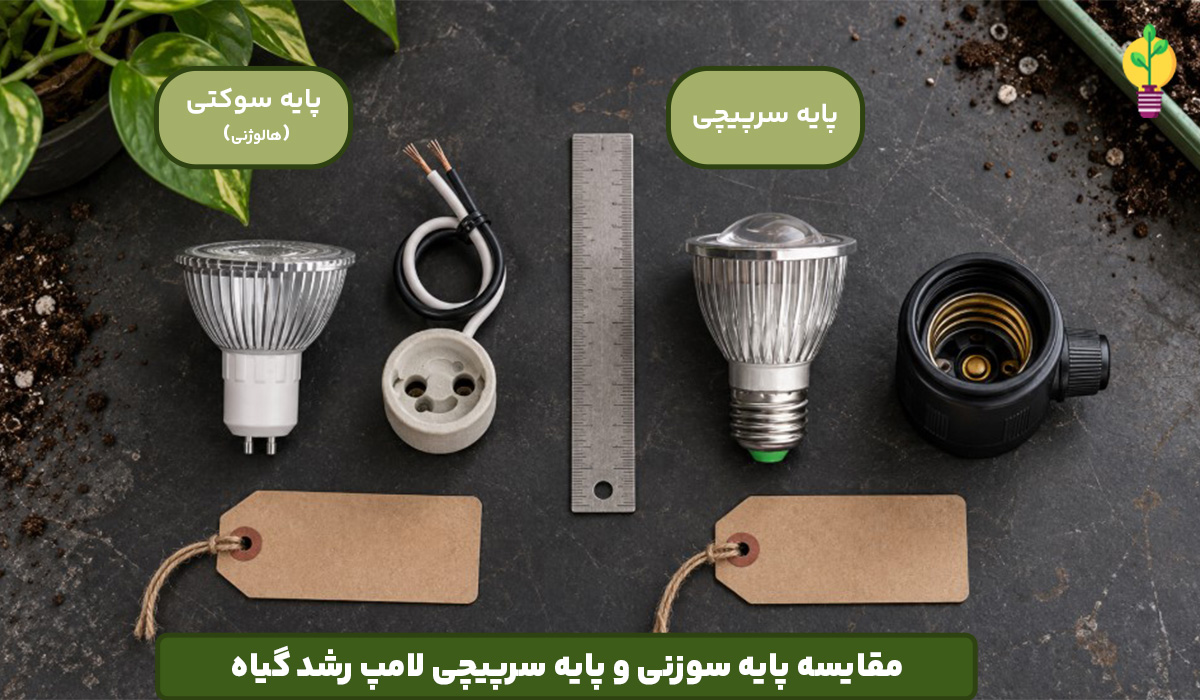 مقایسه پایه سوزنی و پایه سرپیچی لامپ رشد گیاه