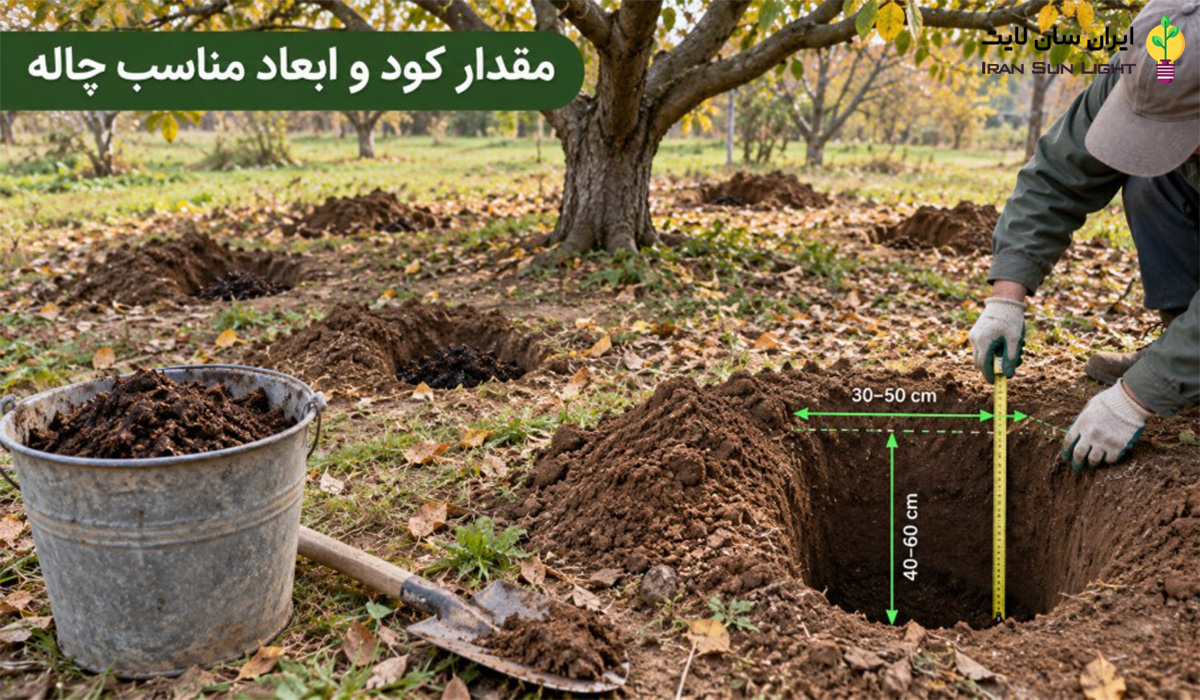 مقدار کود ابعاد چالکود