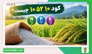 کود ۱۰ ۵۲ ۱۰ چیست؟ و برای چه گیاهانی مناسب است؟